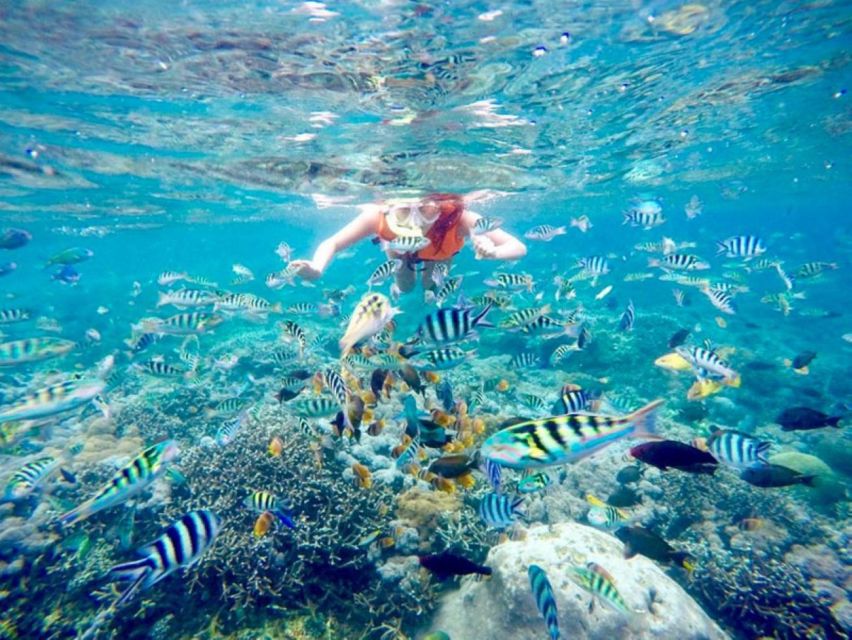All-Inclusive: Bali Blue Lagoon Snorkeling With Waterfall - Pricing and Booking