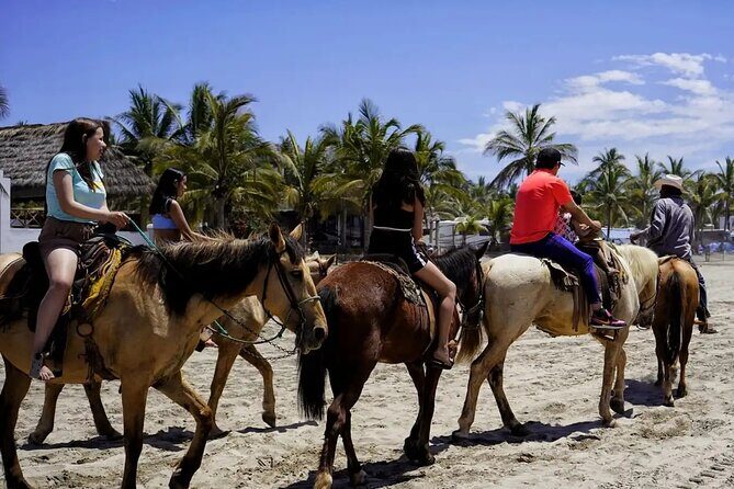 All Inclusive Beach Club, Water Sports, Horse Ride, Food & Drinks - Exploring the Tour in Detail  