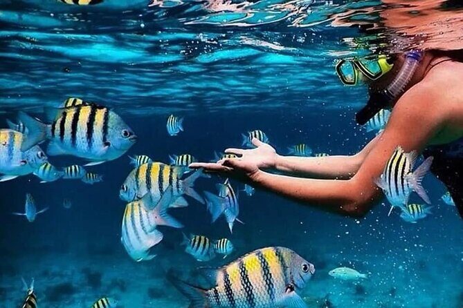 All Inclusive Catamaran 45 ft. Charter in Riviera Maya - Frequently Asked Questions (FAQs)