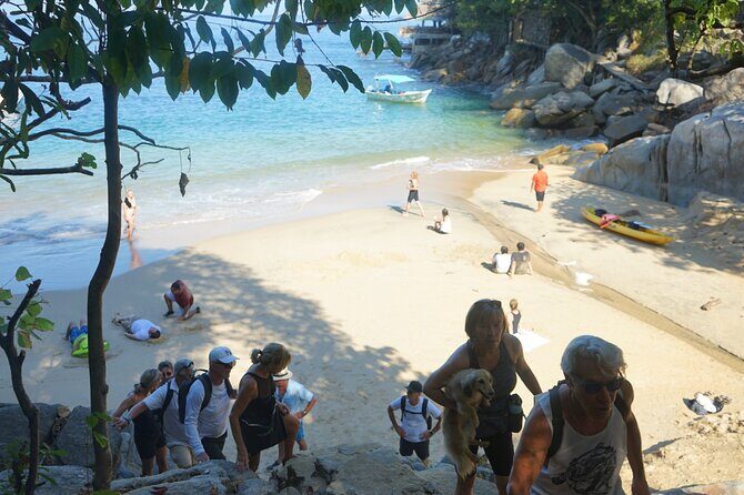 All-inclusive Colomitos cruise and Animas beach snorkeling - Authentic Experiences from Travelers