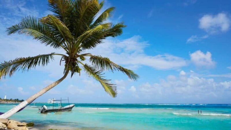 All-Inclusive Costa Maya Beach Break with Open Bar - All-Inclusive Costa Maya Beach Break with Open Bar: A Practical Guide