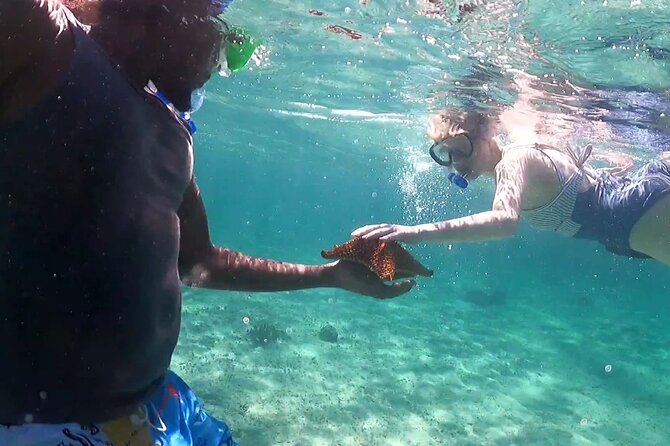 All-Inclusive Day-Trip From Nassau to Andros Bahamas - Meeting and Pickup