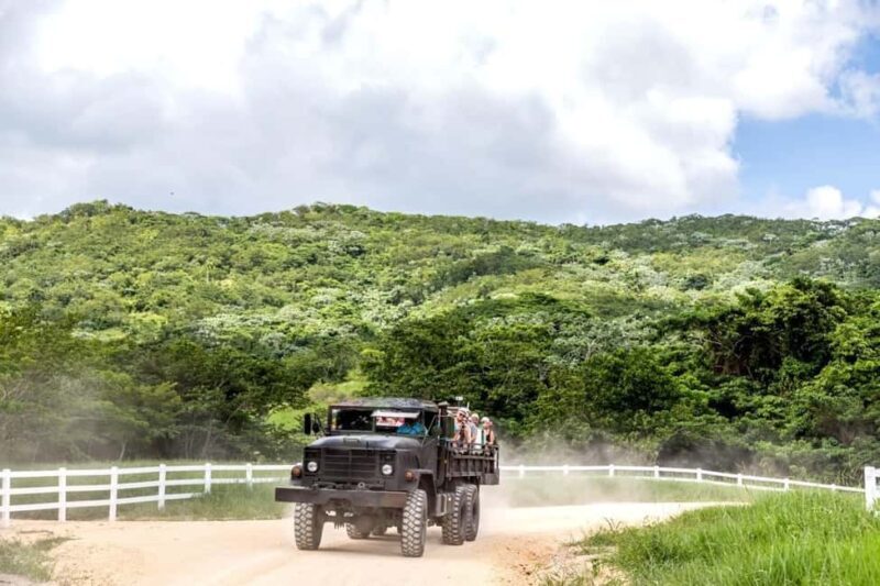 All-Inclusive Day Trip from Punta Cana: DR Culture Immersion - Who Will Love This Tour?