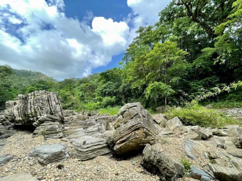 All-Inclusive Day Trip from Punta Cana: DR Culture Immersion - The Sum Up