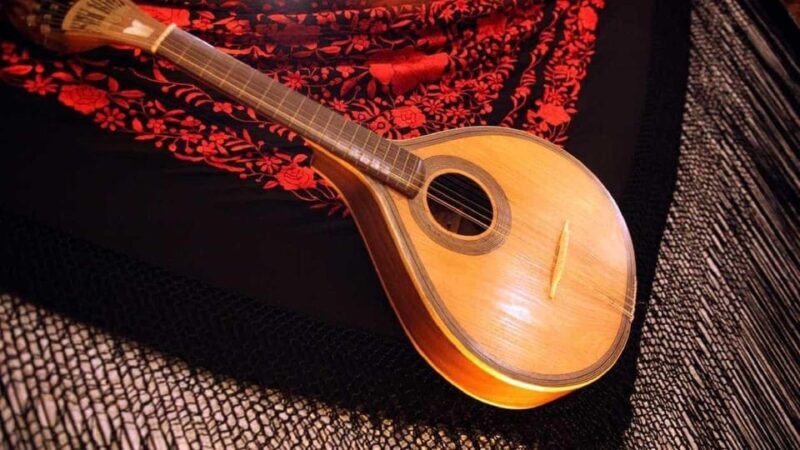 All-inclusive Fado Tour: Show & Dinner. Lisbon at Night - Who Will Love This Experience?