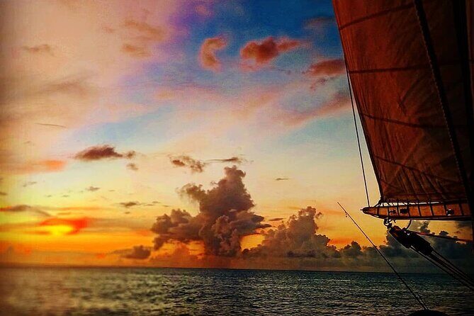 ALL INCLUSIVE Full Day snorkeling & sunset cruise with boat dogs - Who It’s Best For