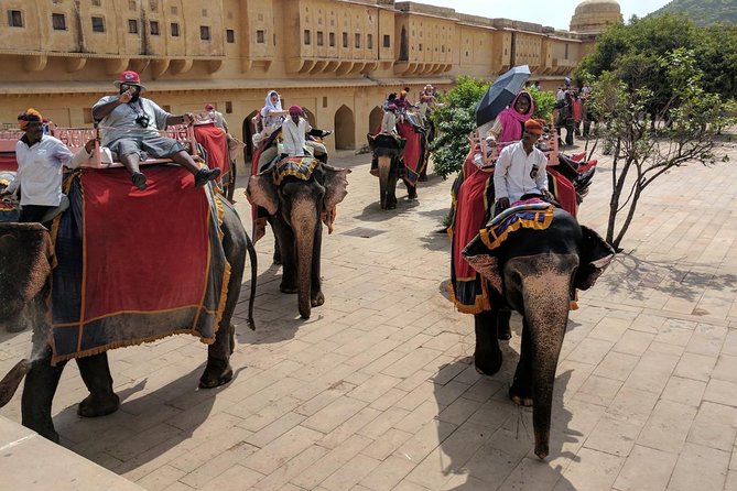 All-Inclusive Golden Triangle Tour India With 5 Star Hotel - Transportation Options