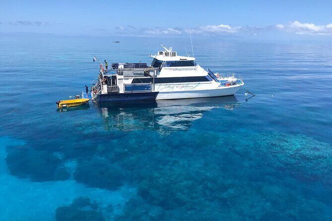 All Inclusive Great Barrier Reef Cruise w optional Scuba Diving - Key Points