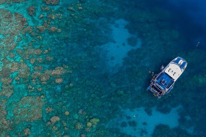 All Inclusive Great Barrier Reef Cruise w optional Scuba Diving - An Overview of the Tour Experience