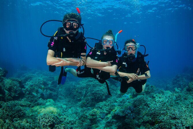 All Inclusive Great Barrier Reef Cruise w optional Scuba Diving - The Return Journey and Relaxation