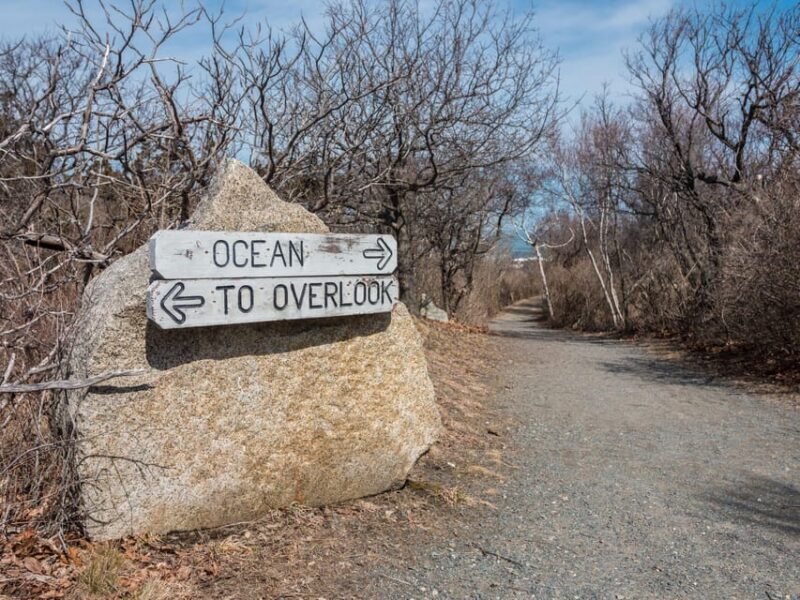All-Inclusive Guided Food Tour in New Bedford - A Detailed Look at the Experience