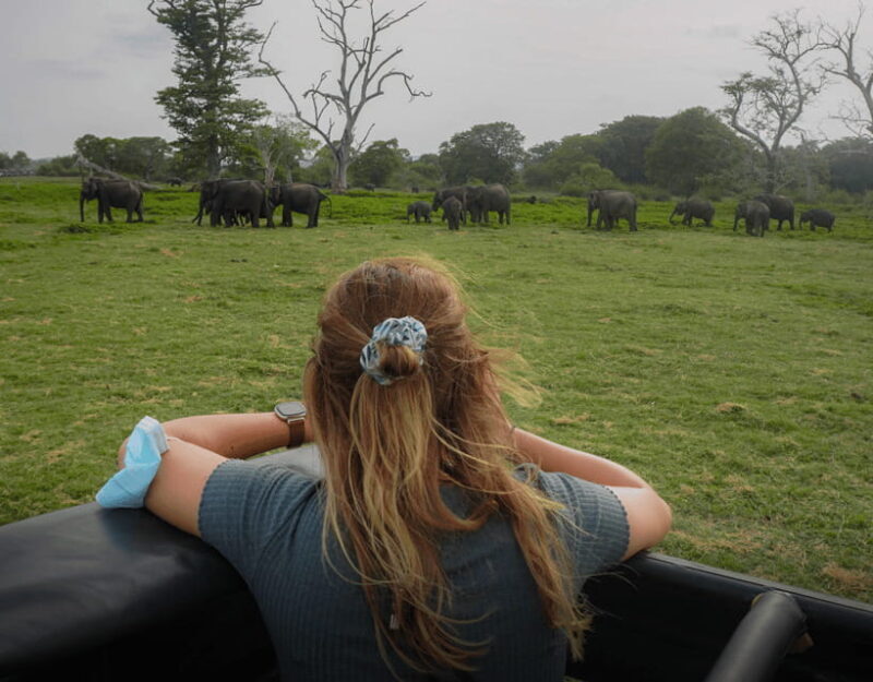 All-Inclusive Habarana HuruluEco Park Private Halfday Safari - An Introduction to Hurulu Eco Park Safari