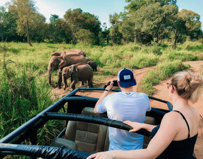 All-Inclusive Habarana HuruluEco Park Private Halfday Safari - The Value of the Experience