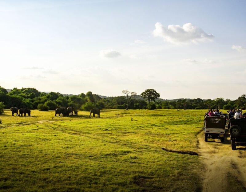 All-Inclusive Habarana HuruluEco Park Private Halfday Safari - The Sum Up