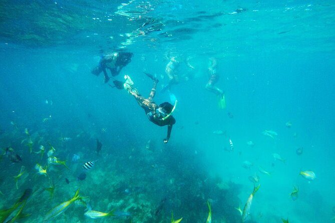 All Inclusive Half Day Sail and Snorkel - Introduction