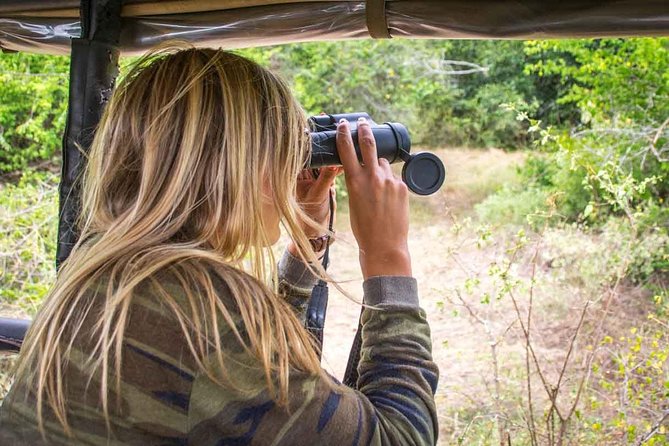 All Inclusive Leopard Nest Luxury Glamping Experience in Yala - Accommodation Options