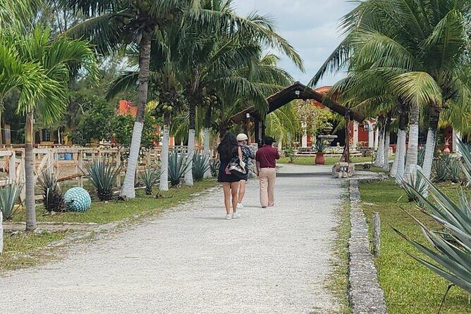 All Inclusive Mayan Ruins EN Buggy & Snorkeling Tour - Practical Considerations