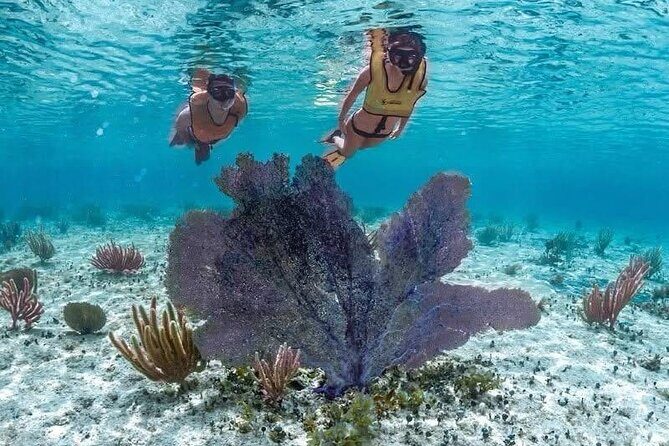 All Inclusive Mayan Ruins EN Buggy & Snorkeling Tour - FAQs about the All-Inclusive Mayan Ruins, Buggy & Snorkeling Tour