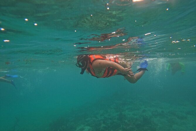 All Inclusive One Day Tour for Oxtankah Beach Club in Costa Maya - What’s Included and What’s Not