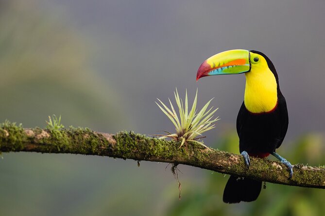 All Inclusive Package 8-Days 7-Nights in Costa Rica - Included Services