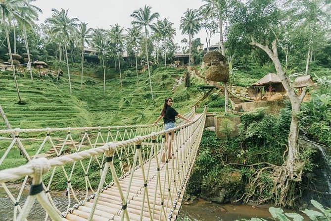 All Inclusive Private 2 Day Tours Bali Highlights - Inclusions and Services