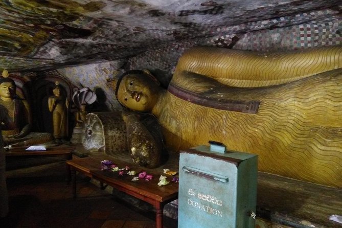 All Inclusive Private Day Trip Sigiriya and Dambulla Caves With More - Customer Feedback and Reviews