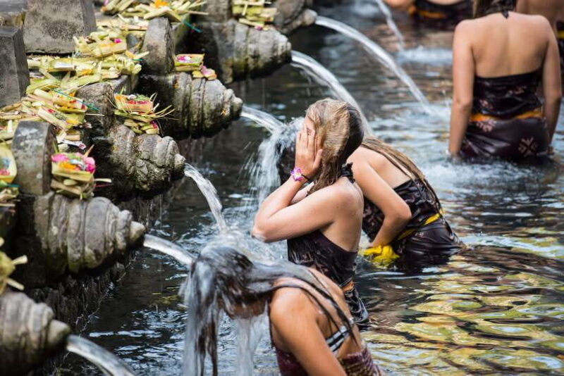 All-Inclusive Private Ubud Tour with Jungle Swing - Logistics and Practicalities