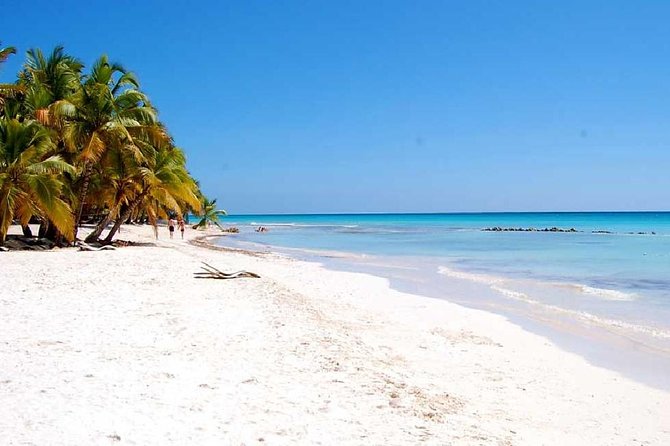 All-Inclusive Saona Island Tour From Punta Cana (Full Day) - Health and Accessibility