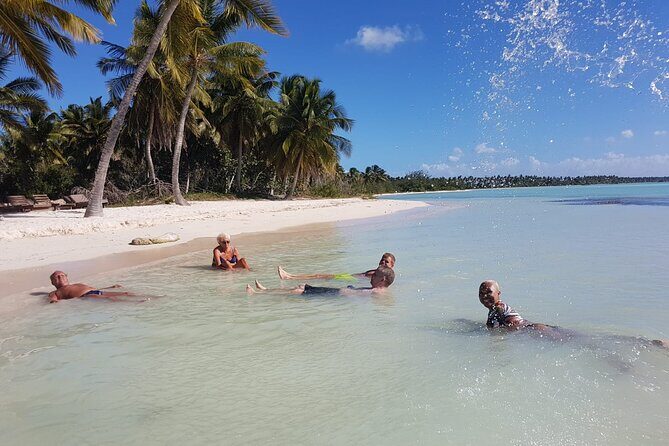 All Inclusive Saona Private Boat Tour from 165 USD p/P - What Makes This Tour Stand Out?