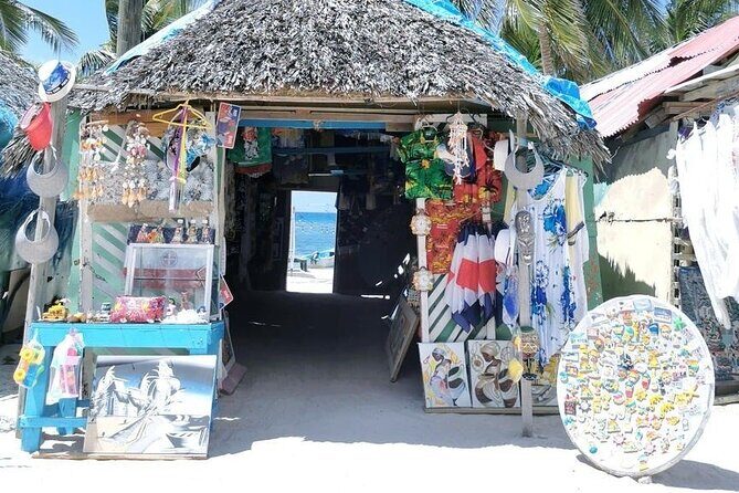 All Inclusive Saona Private Boat Tour from 165 USD p/P - Authentic Reviews: What Past Travelers Say