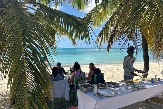 All Inclusive Saona Private Boat Tour from 165 USD p/P - Who Would Love This Tour?