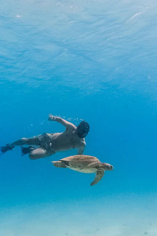 All-inclusive Snorkel in Balandras Hidden beaches, La Paz - A Deep Dive Into the Tour Experience