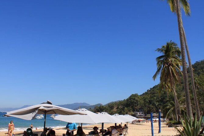 ALL INCLUSIVE Snorkeling and Zipline Cruise - Practical Considerations