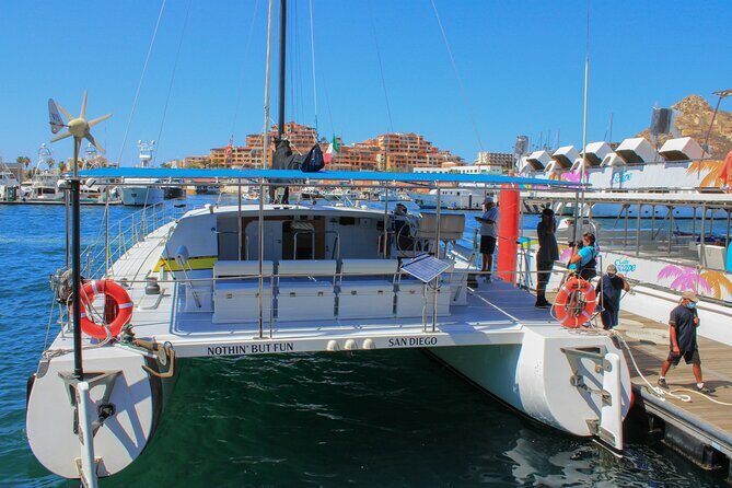 All Inclusive: snorkeling, boat tour, food and drinks! - Authentic Perspectives from Past Travelers