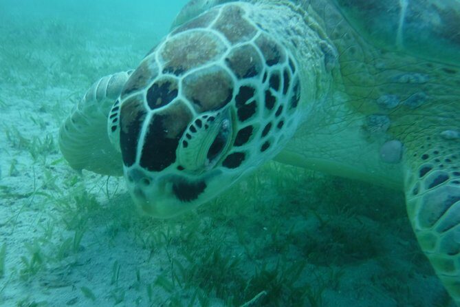 All-Inclusive Sunset Sail - Semi Private - Only 6 Guests - Who Should Book This?