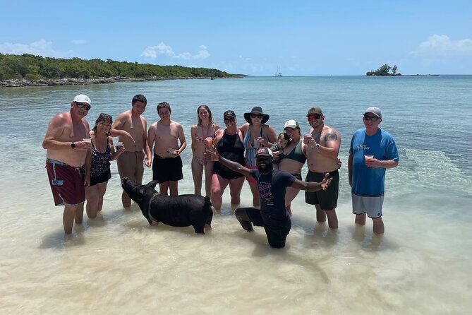 All Inclusive Swimming With The Pigs - Key Points