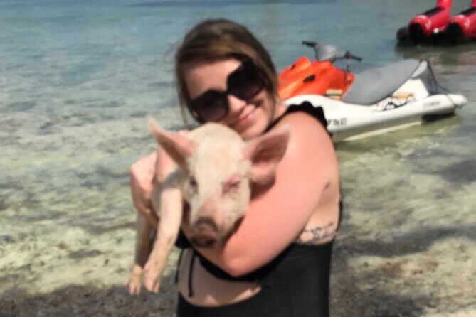 All Inclusive Swimming With The Pigs - The Sum Up