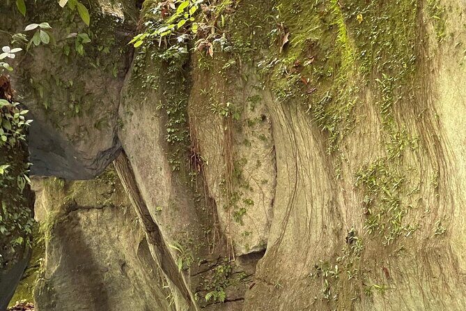 ALL INCLUSIVE Tour through the Water Trail "La Plaza" - Safety, Comfort, and Practical Tips