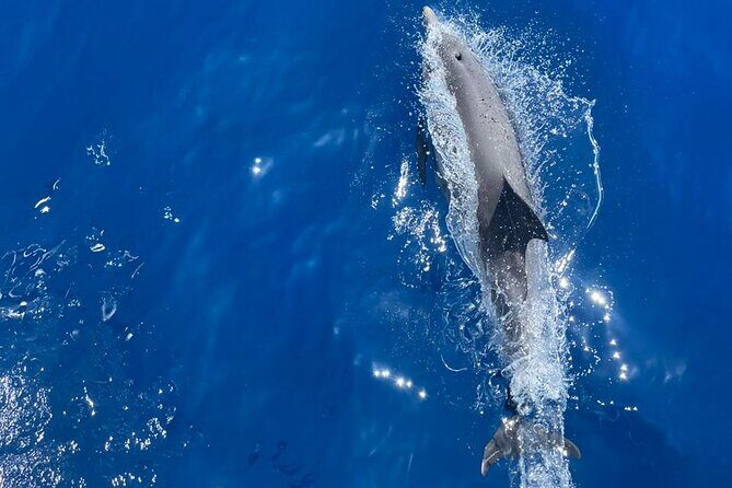 All Inclusive Tour to Delos and Rhenia Islands with S/Y Olga M - FAQ