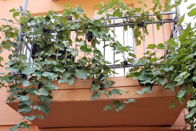 All-Inclusive.Tour to Georgia for 5 Days:Tbilisi, Kazbegi, Culinary Master-Klass - Tbilisi Sulfur Baths