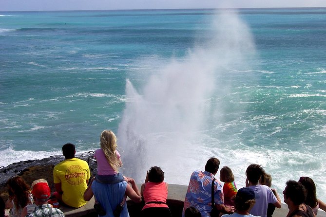 All Inclusive Ultimate Circle Island Day Tour and Waimea Falls - Reviews