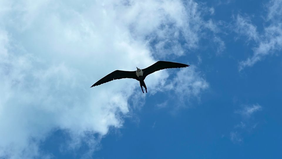 All Inclusive Visit to Holbox Island - Inclusions