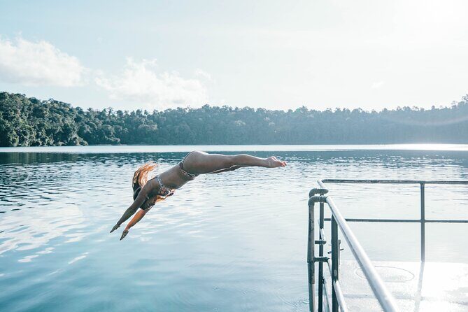 All Inclusive Waterfalls and Rainforest Tour from Cairns - The Journey and Stops: What You Can Expect