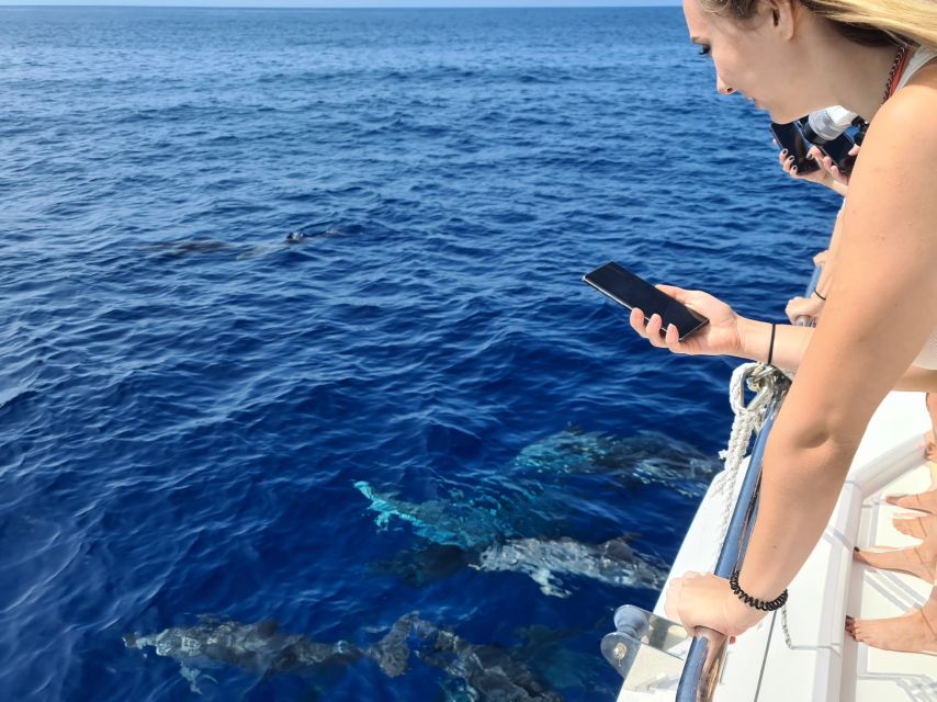 All Inclusive Whale and Dolphin Watching Luxury Tour - Activities and Stops