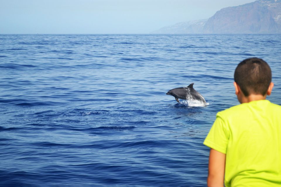 All Inclusive Whale and Dolphin Watching Luxury Tour - Additional Information