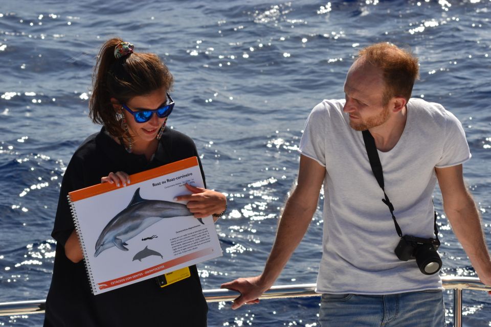 All Inclusive Whale and Dolphin Watching Luxury Tour - Frequently Asked Questions