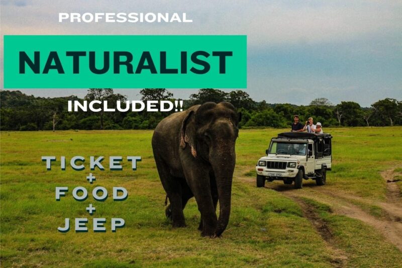 All Inclusive Wilpattu National Park: Safari Jeep Tour - Wildlife Experience