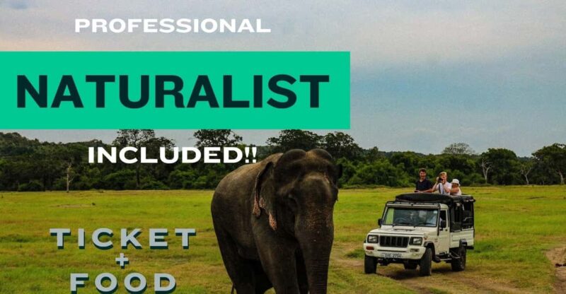 All Inclusive Wilpattu National Park: Safari Jeep Tour - Pickup and Drop-off