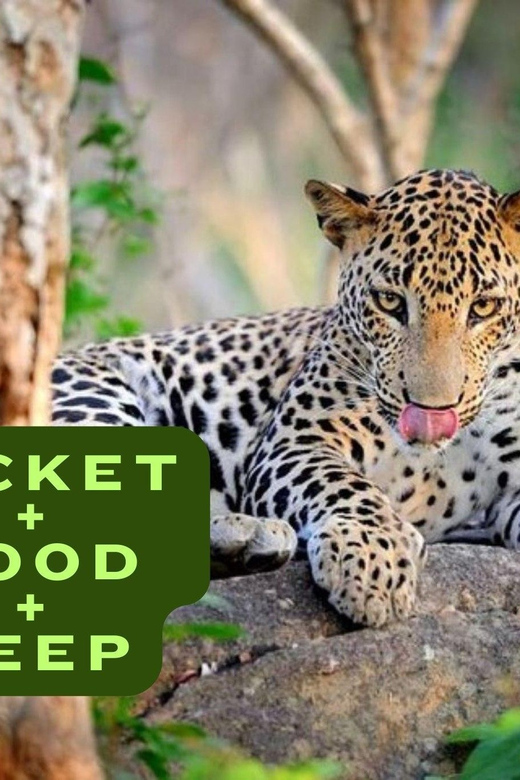 All Inclusive Wilpattu National Park: Safari Jeep Tour - Customer Reviews