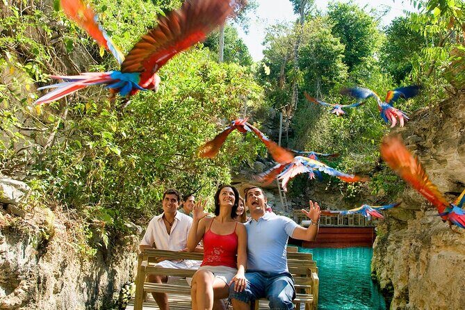 All-inclusive Xcaret Park with Transportation from Cancun & Playa Del Carmen - Highlights That Make This Tour Stand Out